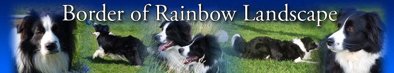 Border of Rainbow Landscape
